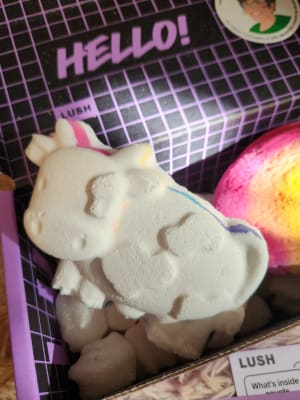 View Gallery Image #7