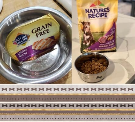 Nature's recipe sweet potato dog food online