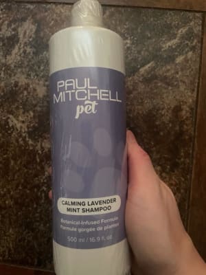 View Gallery Image #7