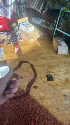 View Gallery Image #1