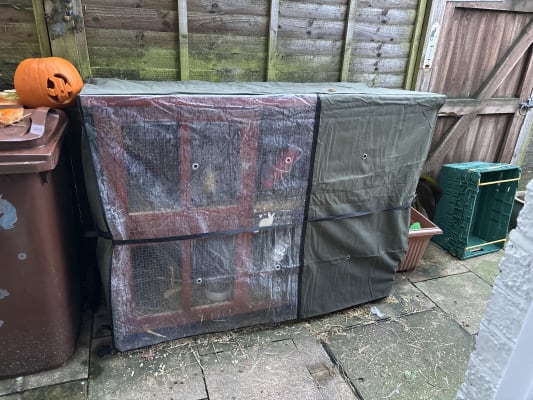 Bluebell hideaway best sale thermal hutch cover