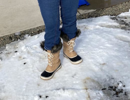 Zappos joan best sale of arctic