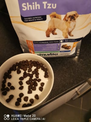 Beef pro cheap for shih tzu