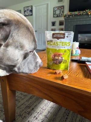 Nutrish dog treats top
