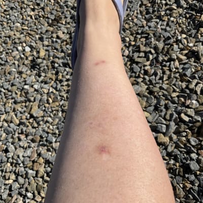 View Gallery Image #2