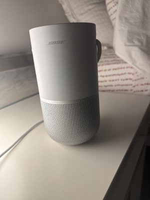 Portable Home Speaker - Luxe Silver – BrandsMart USA