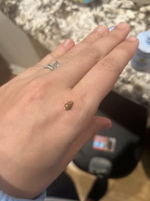 View Gallery Image #7