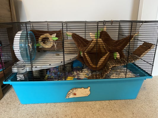 Pets at home online large wire hamster cage