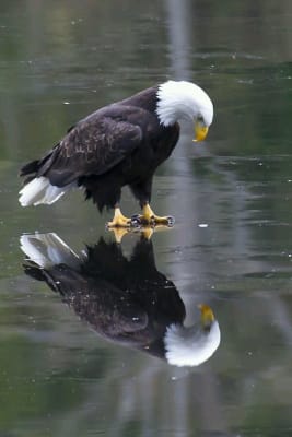 View Gallery Image #7
