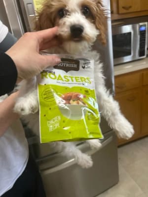 Rachael Ray® Nutrish™ Savory Roasters Chicken Recipe Treats for Dogs