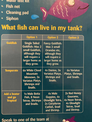 Pets At Home Kids Aquarium With Filter 19 Litre Pets At Home