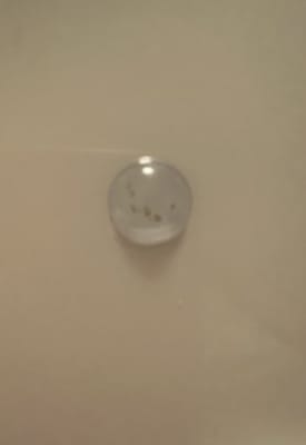 View Gallery Image #3