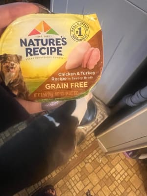 Nature's recipe grain free chicken in broth clearance