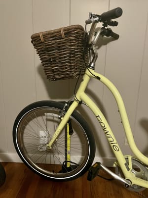 Electra on sale rattan basket
