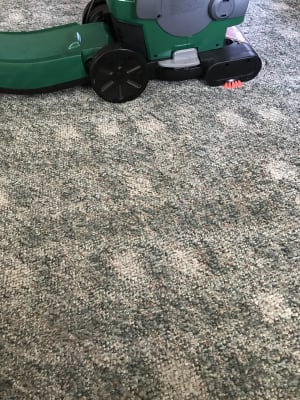 Upright Carpet Cleaner 66E1 