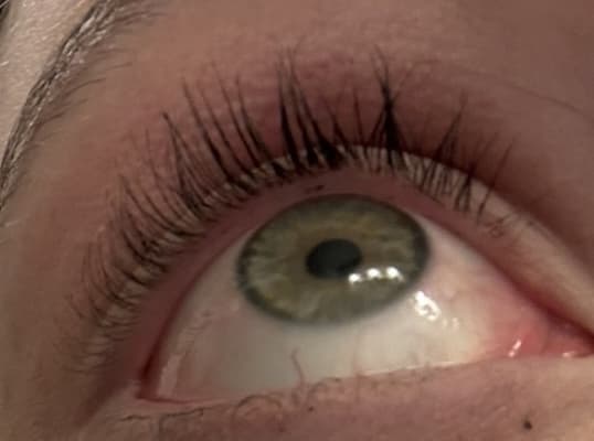 View Gallery Image #12