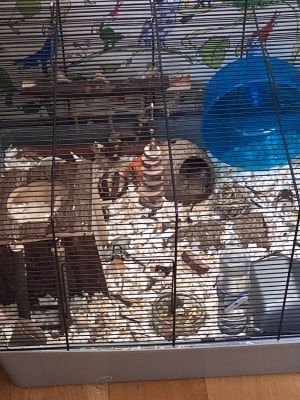 Pets at home large wire shop hamster home