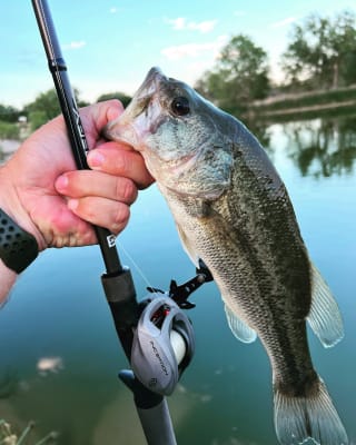 13 Fishing Inception, Casting Reel