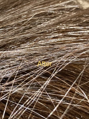 View Gallery Image #1