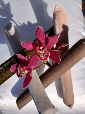 View Gallery Image #5