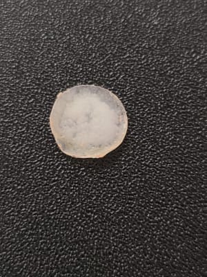 View Gallery Image #3