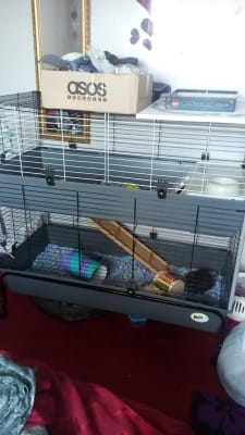 2 tier rabbit 2025 hutch pets at home