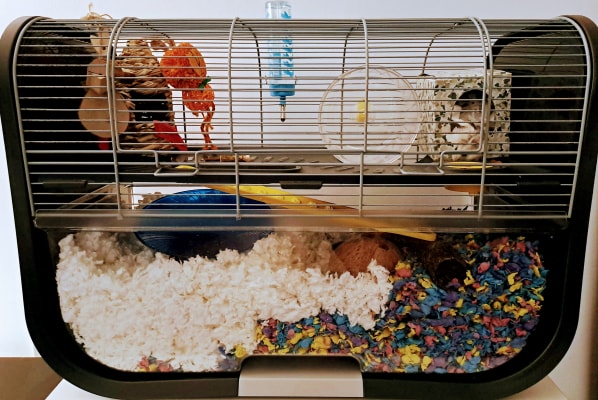 Savic Geneva Hamster Cage Pets At Home