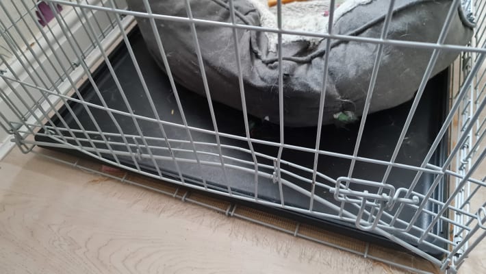 Pets at home xl dog crate on sale