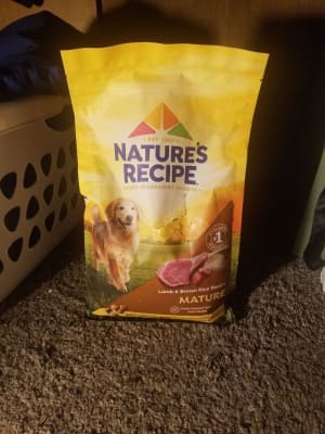 Nature's recipe lamb meal and rice top