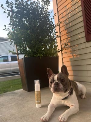 View Gallery Image #1