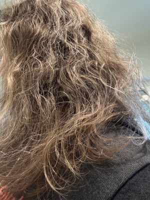 View Gallery Image #2