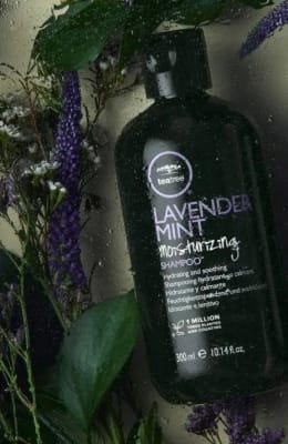 View Gallery Image #1