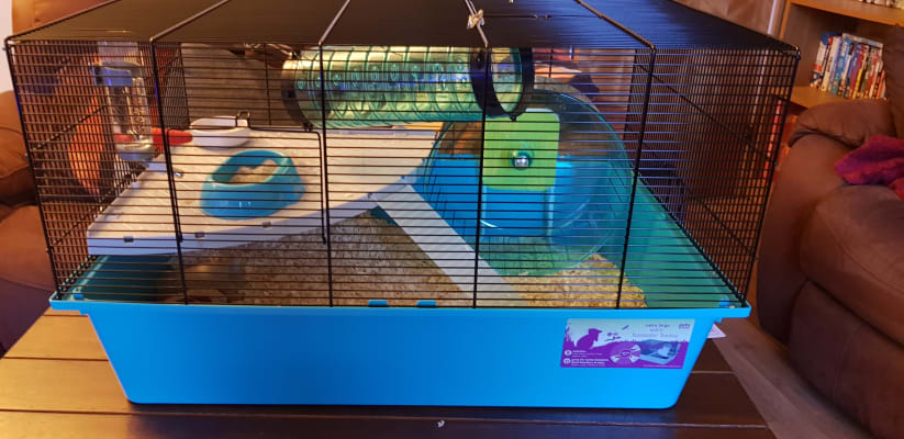 Pets at home hot sale large wire hamster cage