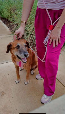 View Gallery Image #4