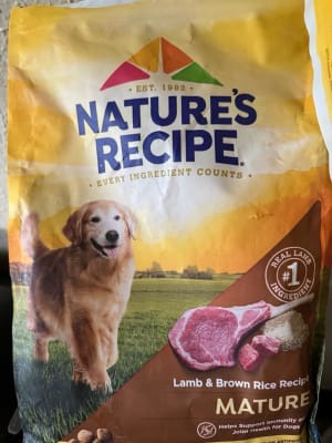 Nature's recipe senior dog food top