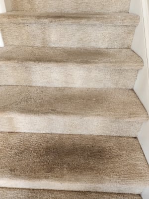 RESOLVE® Clean & Fresh™ Grande Surface Deep Clean Carpet Cleaner Powder  (Canada)