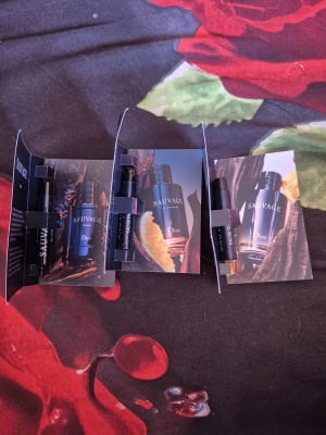 View Gallery Image #3