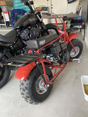 Mini bike hotsell coleman 200cc
