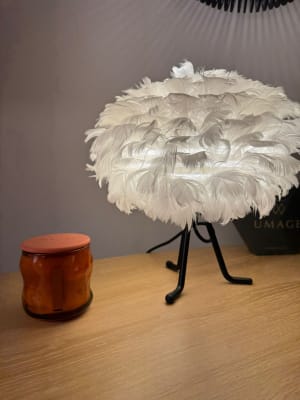 View Gallery Image #6