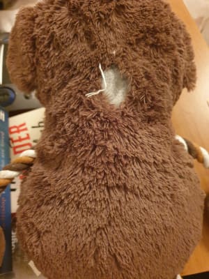 Pets at home monkey dog toy discount