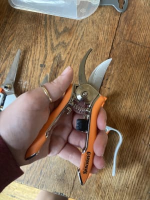 Gardener's Supply Company Pocket Pruners