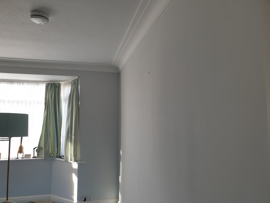 Soft grey shop paint