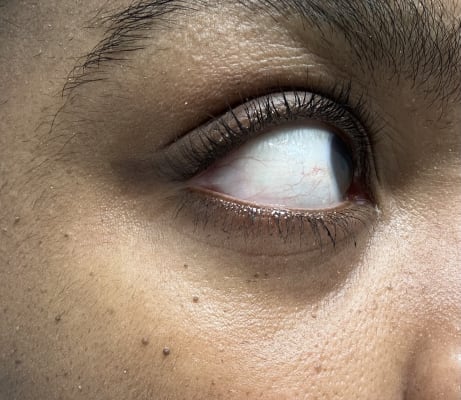 View Gallery Image #6