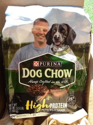 purina dog chow 46 lb