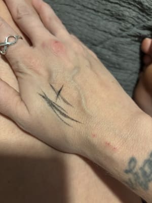 View Gallery Image #1