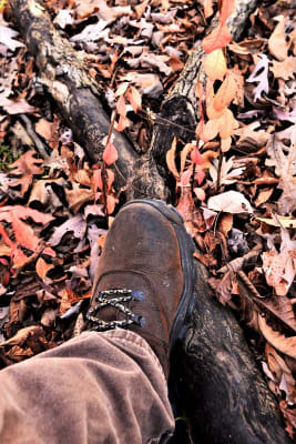Rocky Men s Sport Utility Pro Hunting Boots Brown elliottsboots