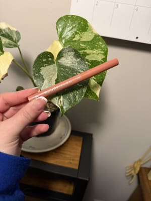 View Gallery Image #14