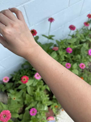 View Gallery Image #3
