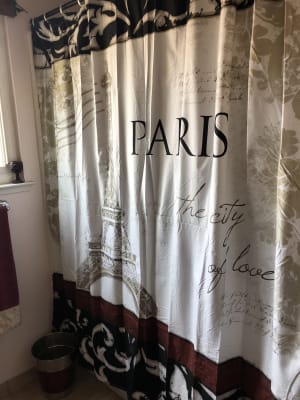 Living Colors Paris Shower Curtain, Big Lots Shower Curtains