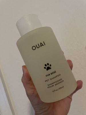 View Gallery Image #1